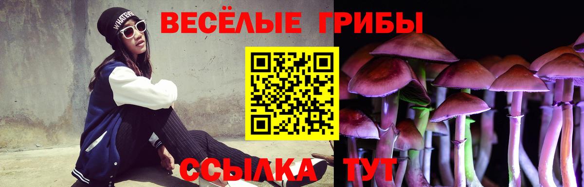 Псилоцибиновые грибы мухоморы Сухой Лог
